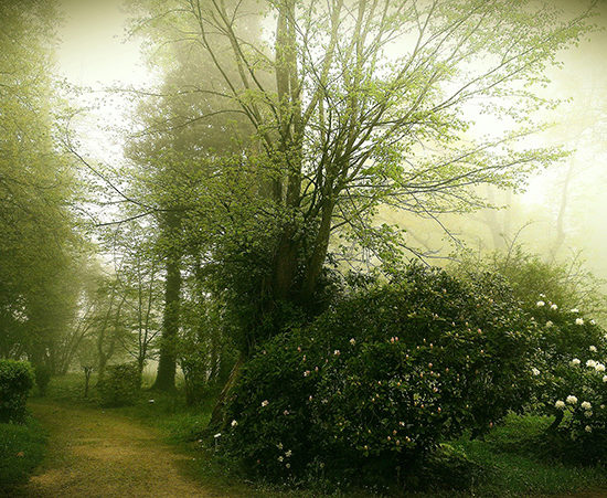 Neschwitz, Schlosspark - Copyright: Gemeindeverwaltung Neschwitz