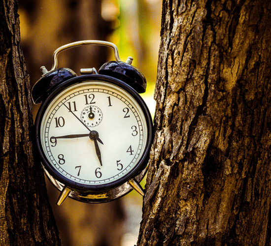 Foto: Yaniv Knobel, unsplash